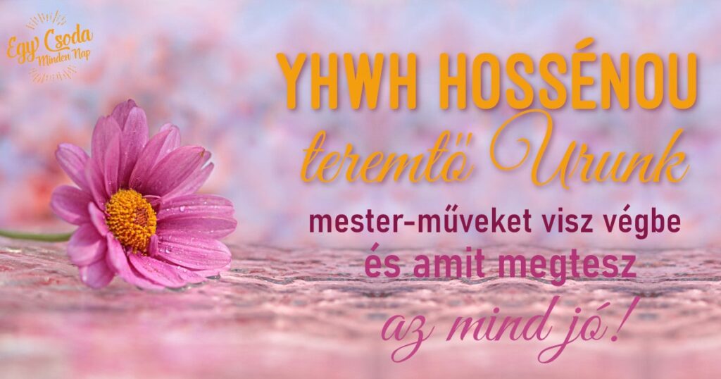 2022-05-12 Egyedüli példány vagy 2022-05-12 Egyedüli példány vagy
