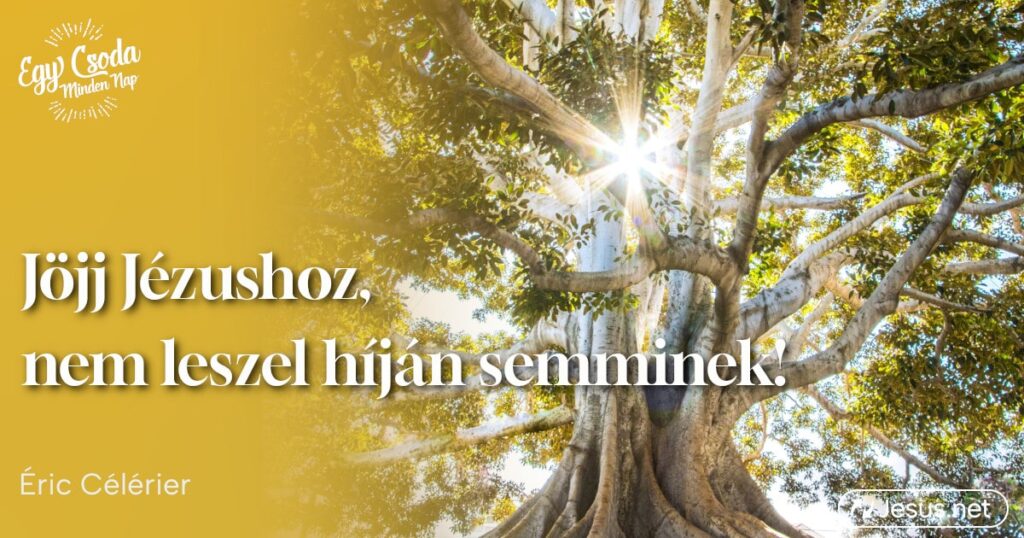 nem-leszel-hijan-semminek nem-leszel-hijan-semminek